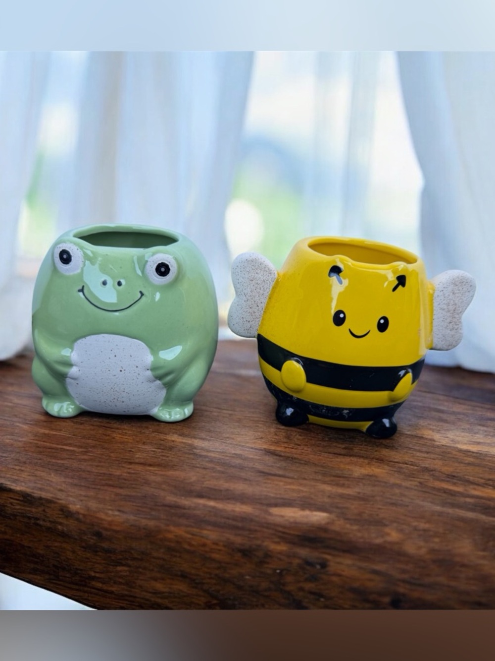 Belavi Frog and Bee Ceramic Planters